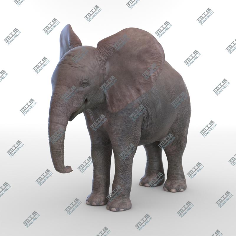 images/goods_img/202105072/Baby Elephant/2.jpg